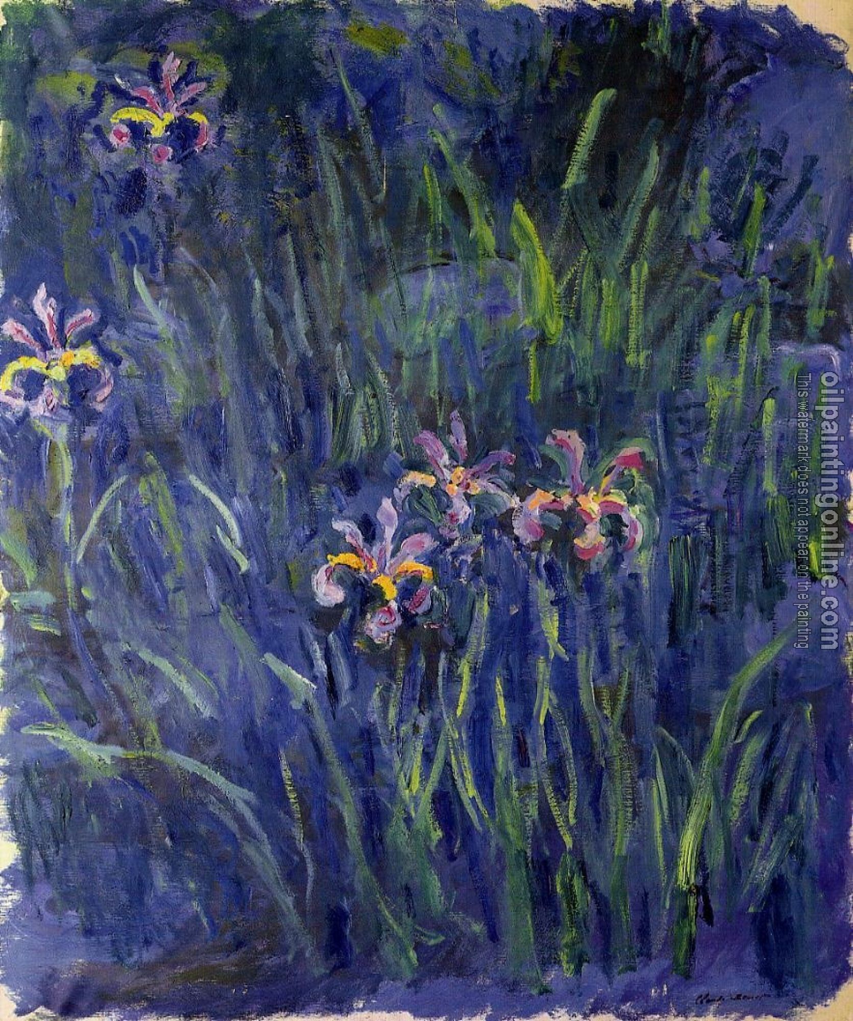 Monet, Claude Oscar - Irises